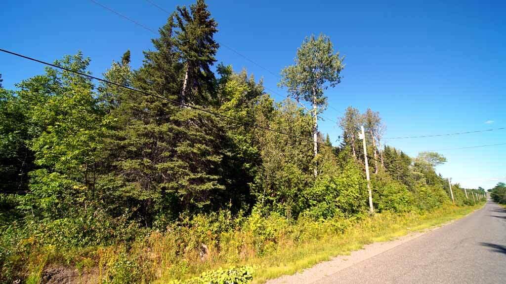 Lot 8 Dudley Road Mapleton, ME 04757 - Photo 23 of 26 castle-hill-me-land-08