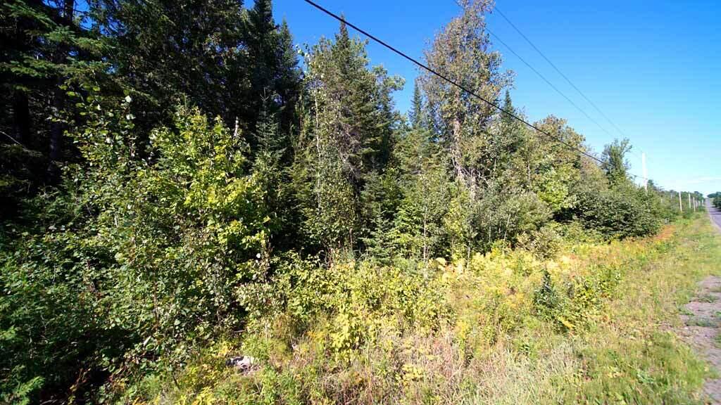 Lot 8 Dudley Road Mapleton, ME 04757 - Photo 24 of 26 castle-hill-me-land-10