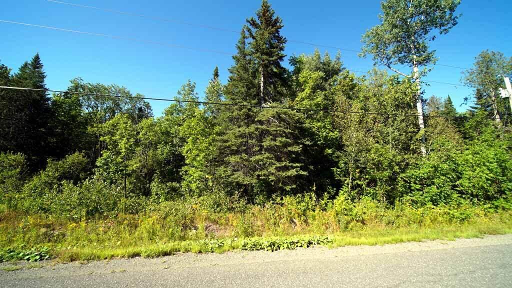 Lot 8 Dudley Road Mapleton, ME 04757 - Photo 3 of 26 castle-hill-me-land-07