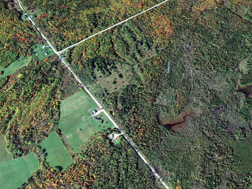 Lot 8 Dudley Road Mapleton, ME 04757 - Photo 9 of 26 castle-hill-me-land