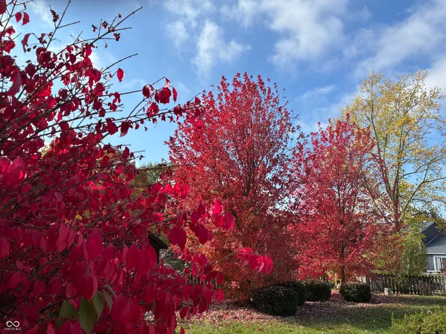 $3,275 | 14112 Adios Pass, Carmel, IN 46032