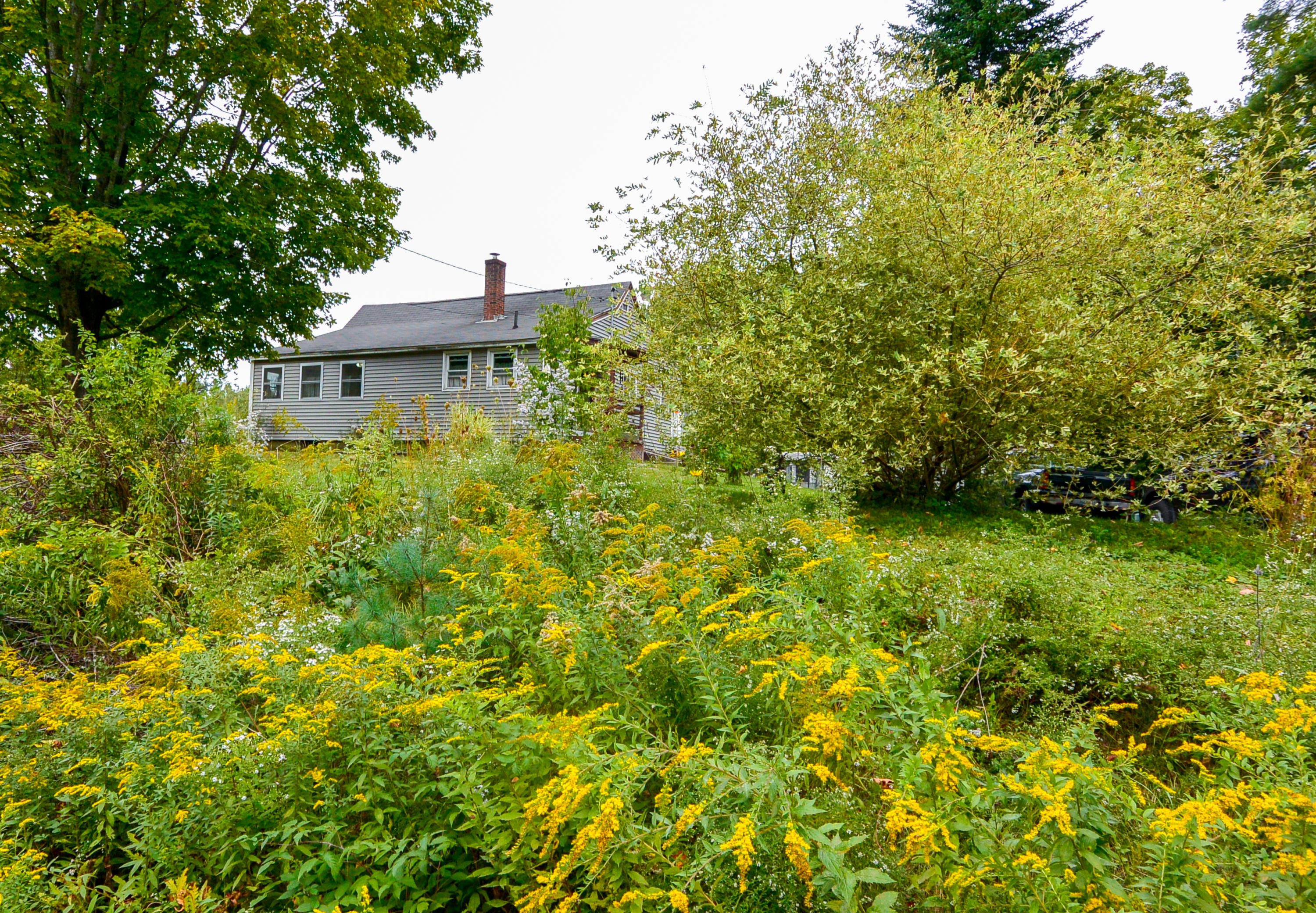 325 Gray Road Gorham, ME 04038 - Photo 4 of 31 4