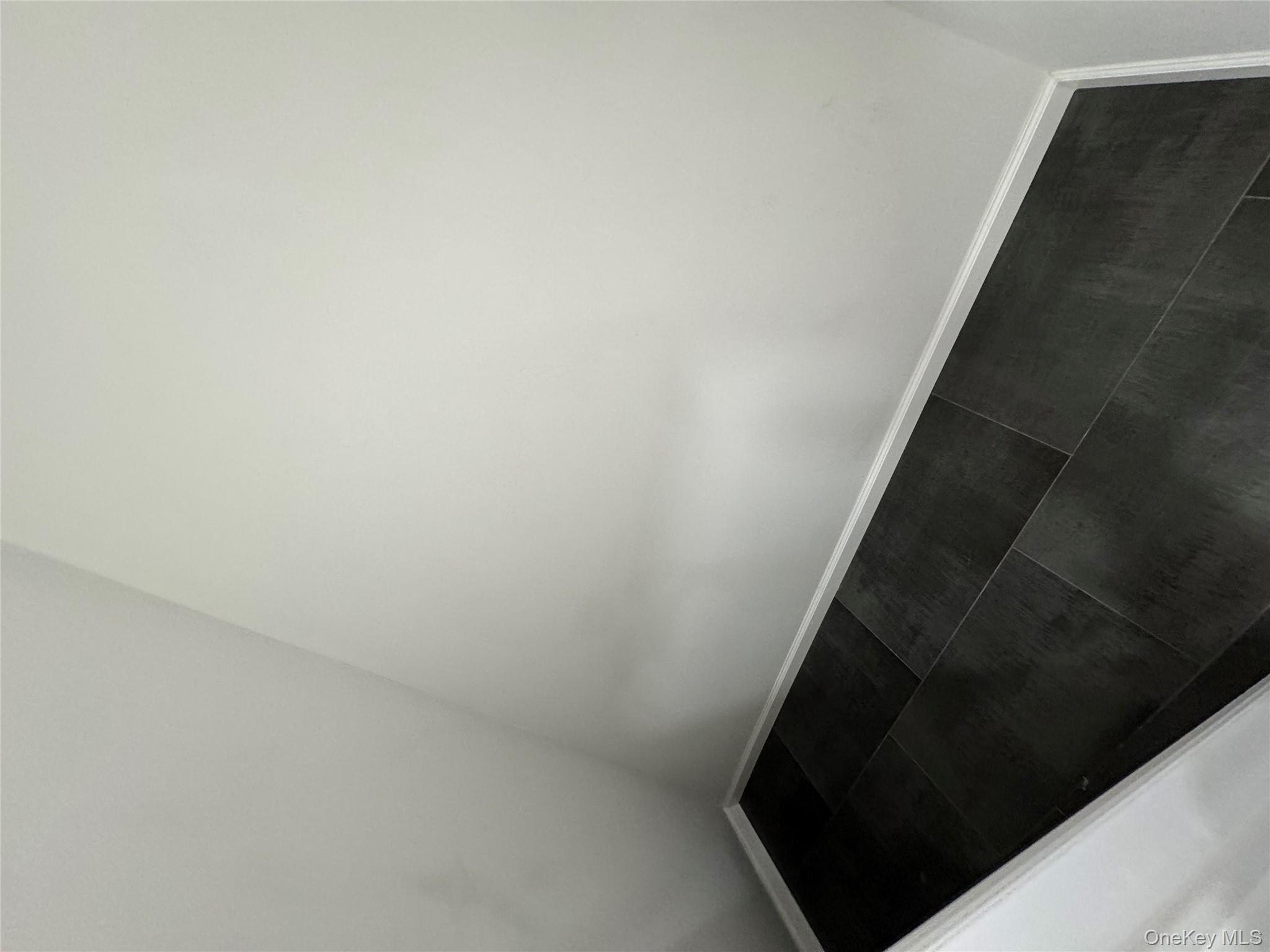 88-36 77th Street Queens, NY 11421 - Photo 9 of 19