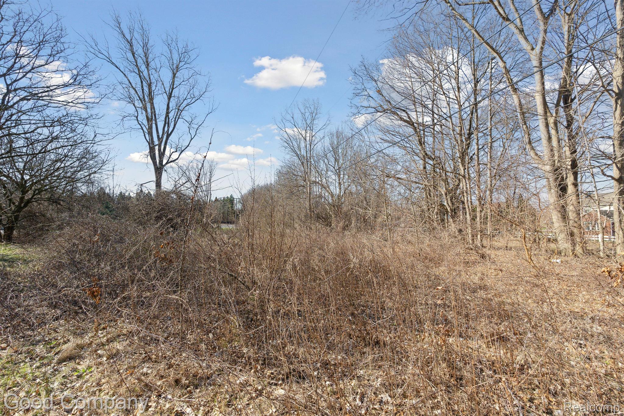 0 Orion Road Lake Orion, MI 48362 - Photo 10 of 13 Gallery Image 10