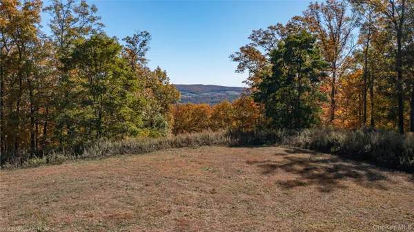 $2,900,000 | Cascade House Cascade Mountain Road, Amenia, NY 12501