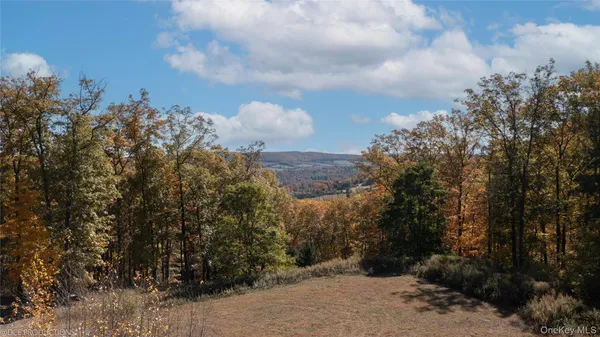 $2,900,000 | Cascade House Cascade Mountain Road, Amenia, NY 12501