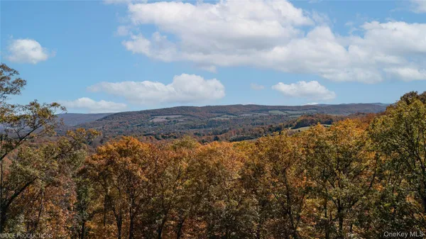 $2,900,000 | Cascade House Cascade Mountain Road, Amenia, NY 12501