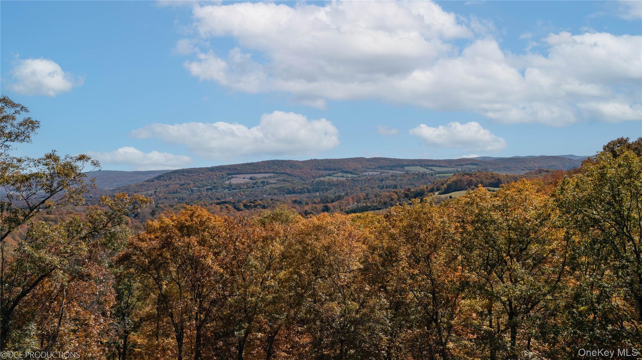 Cascade House Cascade Mountain Road Amenia, NY 12501 - Photo 13 of 21 Watch the clouds drift by, their shadowy counterparts dancing across the countryside.