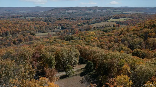 $2,900,000 | Cascade House Cascade Mountain Road, Amenia, NY 12501