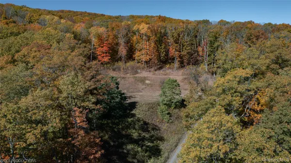 $2,900,000 | Cascade House Cascade Mountain Road, Amenia, NY 12501