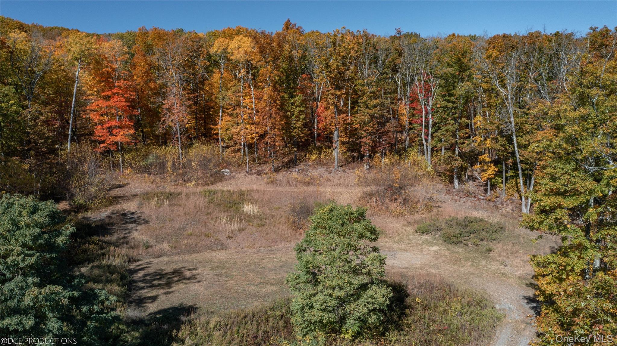 Cascade House Cascade Mountain Road Amenia, NY 12501 - Photo 17 of 21 Ever-changing seasonal scenery.