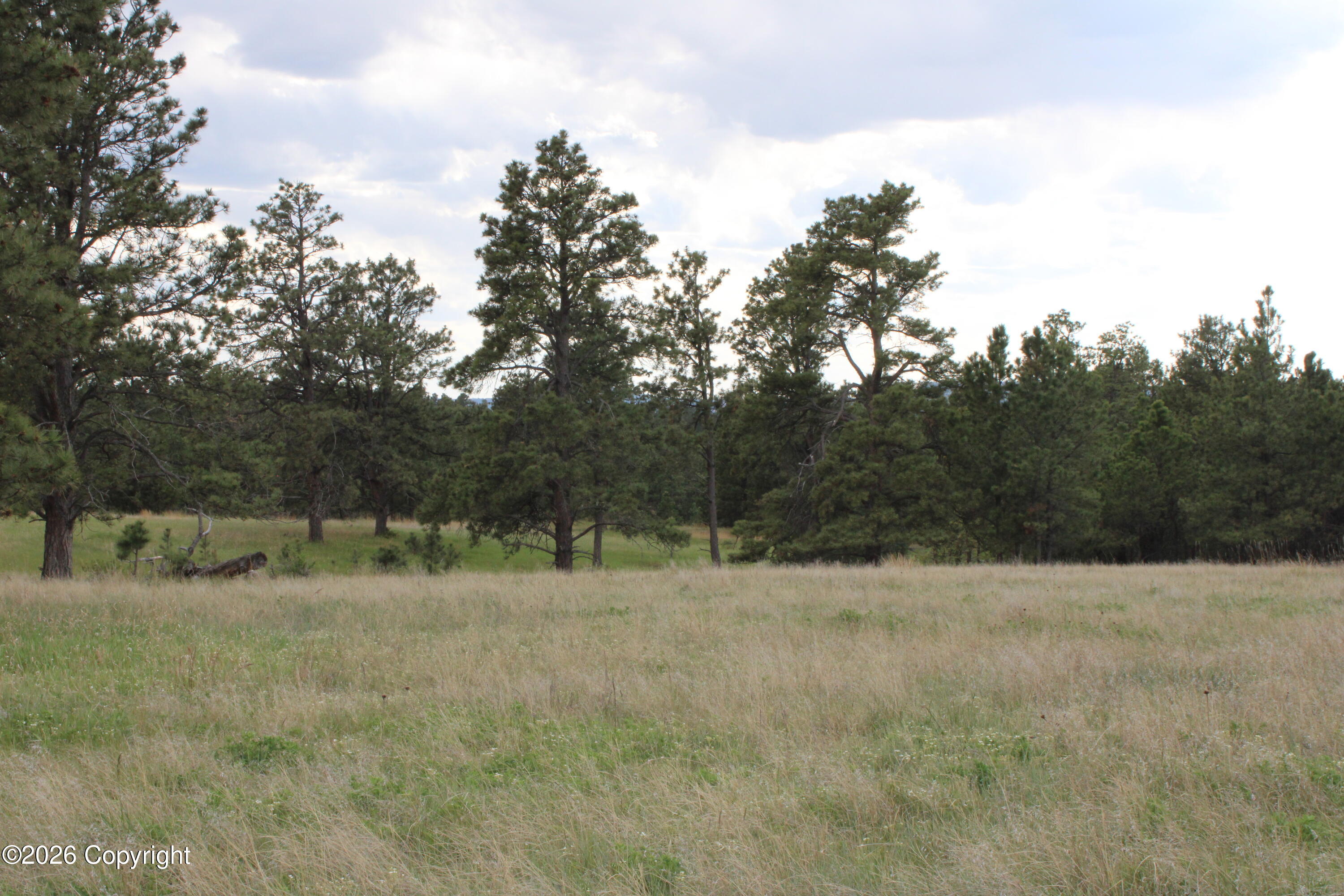9 River Road Alva, WY 82711 - Photo 18 of 43 Gallery Image 18