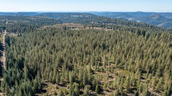 a view of a lush green hillside and a mountain view