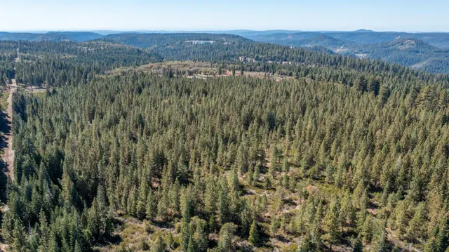 a view of a lush green hillside and a mountain view