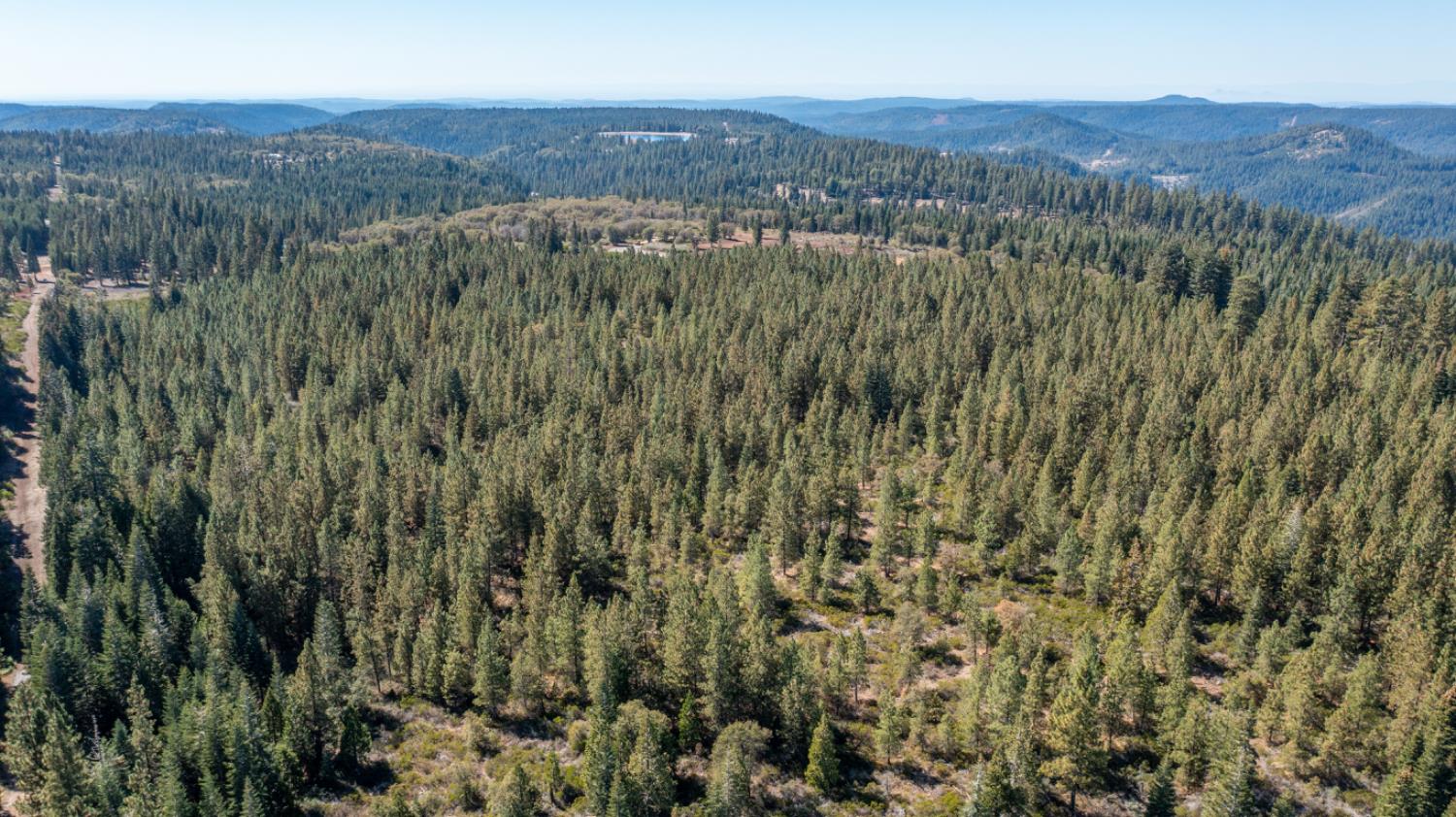 0 Kearsarge Mill Road Alta, CA 95715 - Photo 11 of 37 a view of a lush green hillside and a mountain view