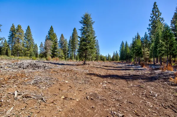 a view of a backyard of the house