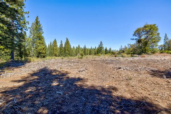 a view of dirt field with trees in background