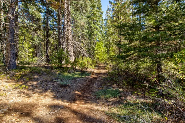 a view of outdoor space with trees