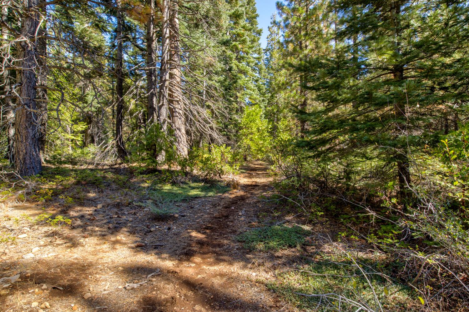 0 Kearsarge Mill Road Alta, CA 95715 - Photo 27 of 37 a view of outdoor space with trees