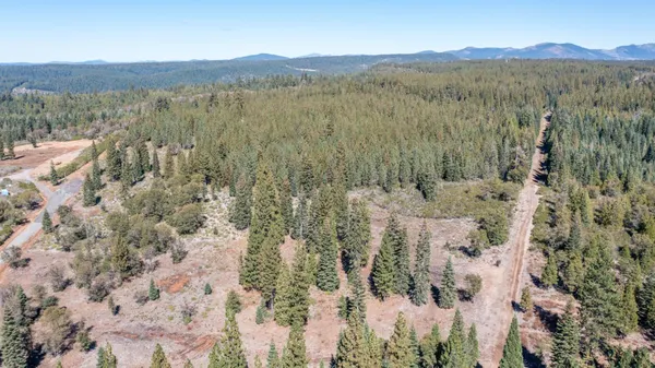 a view of a mountain with trees in the background