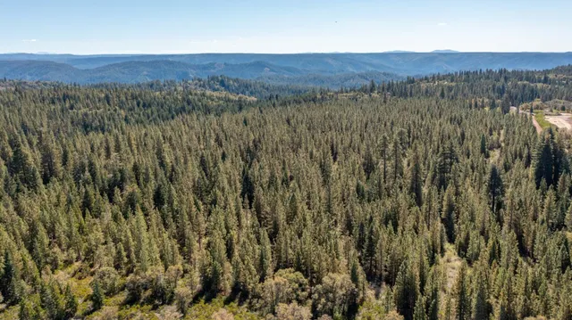 a view of a lush green field and mountains
