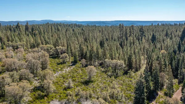 a view of a green field with lots of bushes