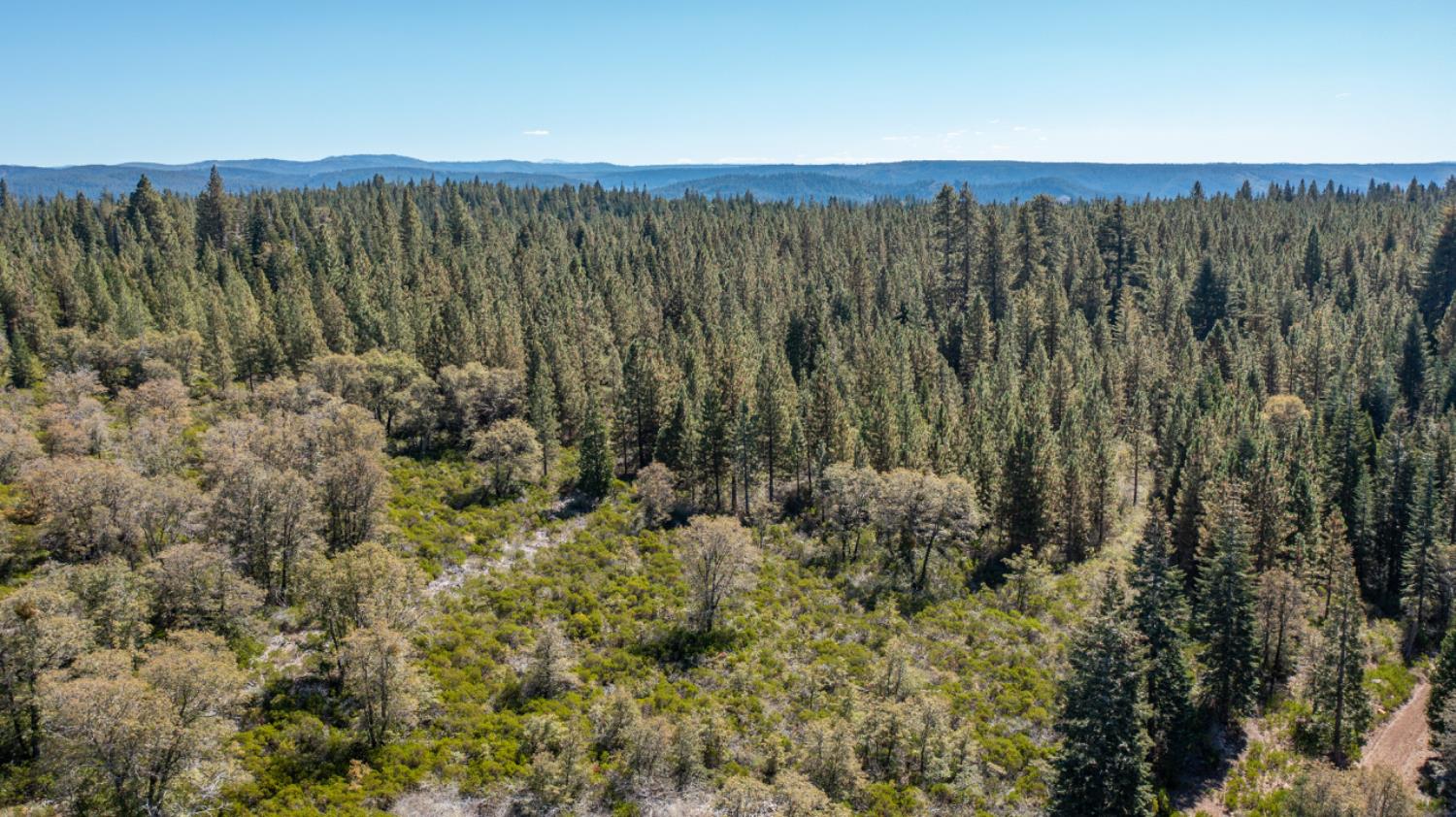 0 Kearsarge Mill Road Alta, CA 95715 - Photo 9 of 37 a view of a green field with lots of bushes