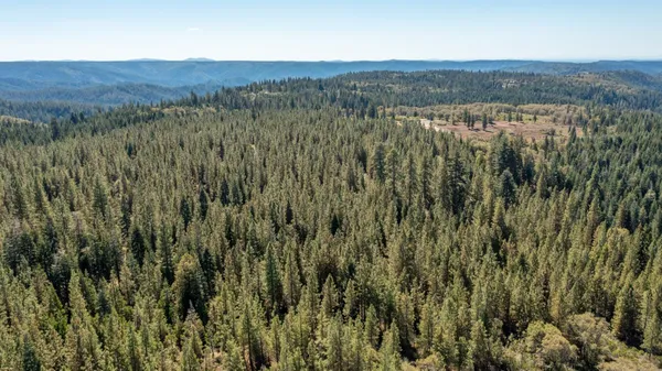 a view of a lush green outdoor space with a lake view