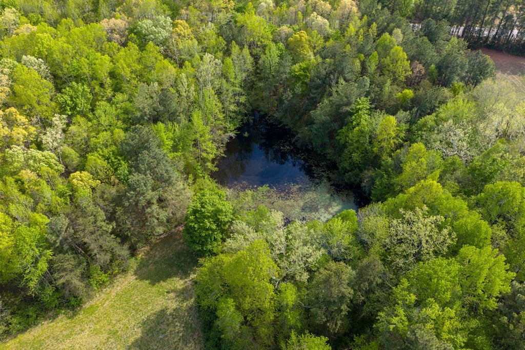 Double Bridges Road, Unit 34D Keysville, VA 23947 - Photo 8 of 25 Gallery Image 8