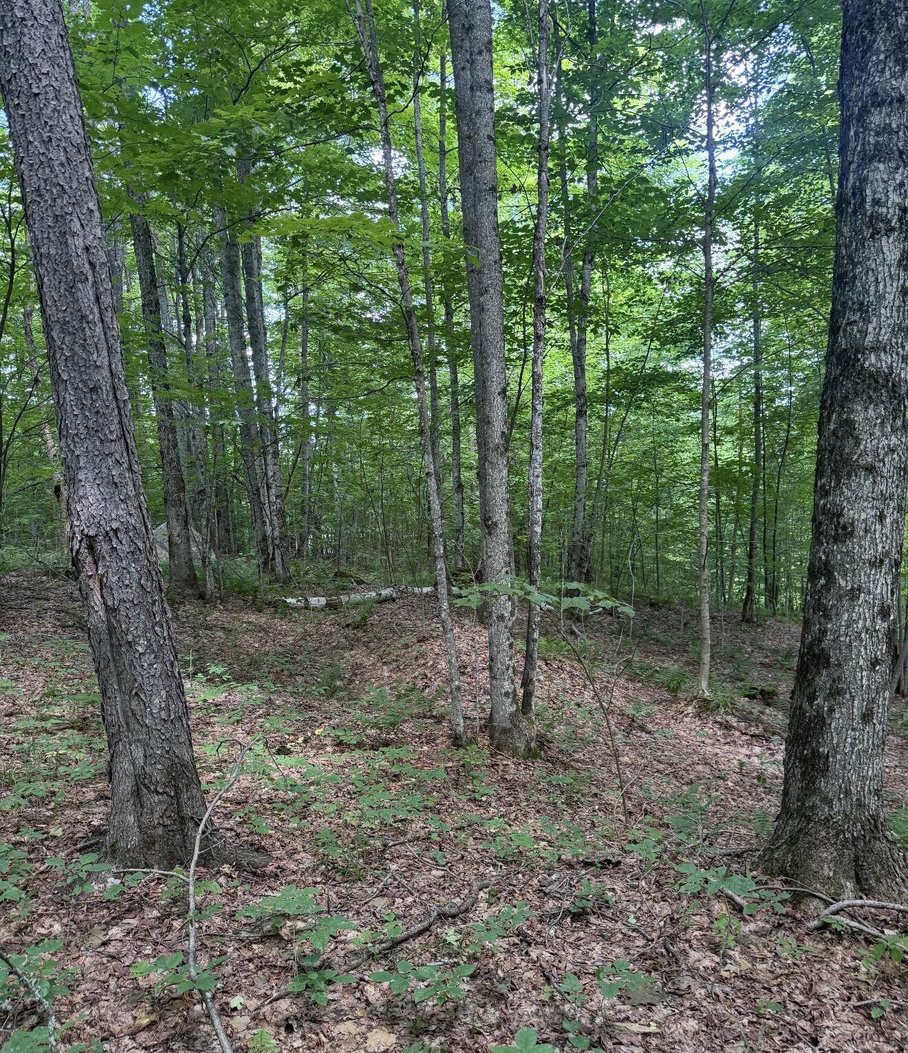 1189 County Rte 26 Owls Head, NY 12969 - Photo 8 of 10 Gallery Image 8