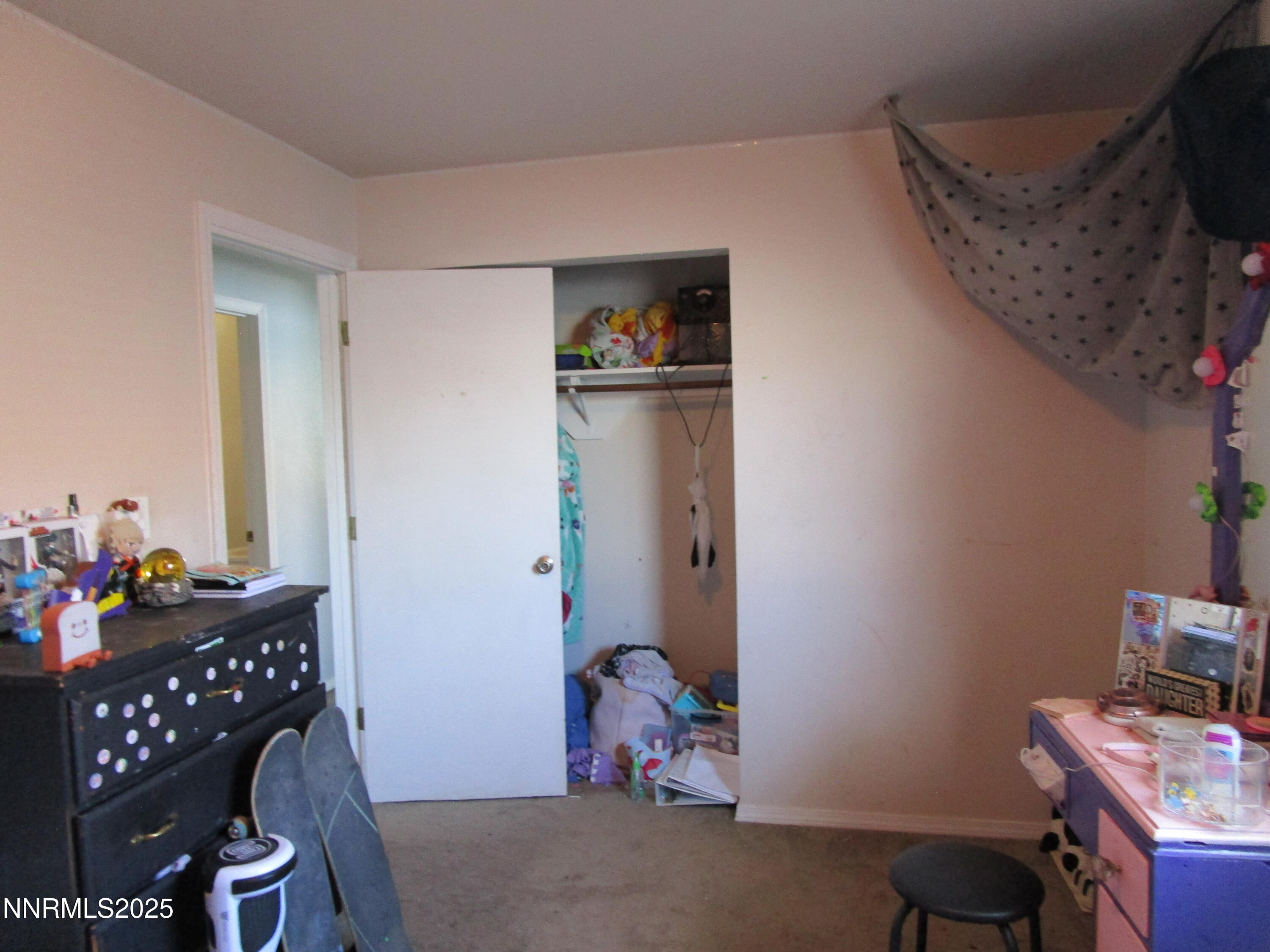 1091 Tiffany Drive Fallon, NV 89406 - Photo 30 of 31 a room with furniture