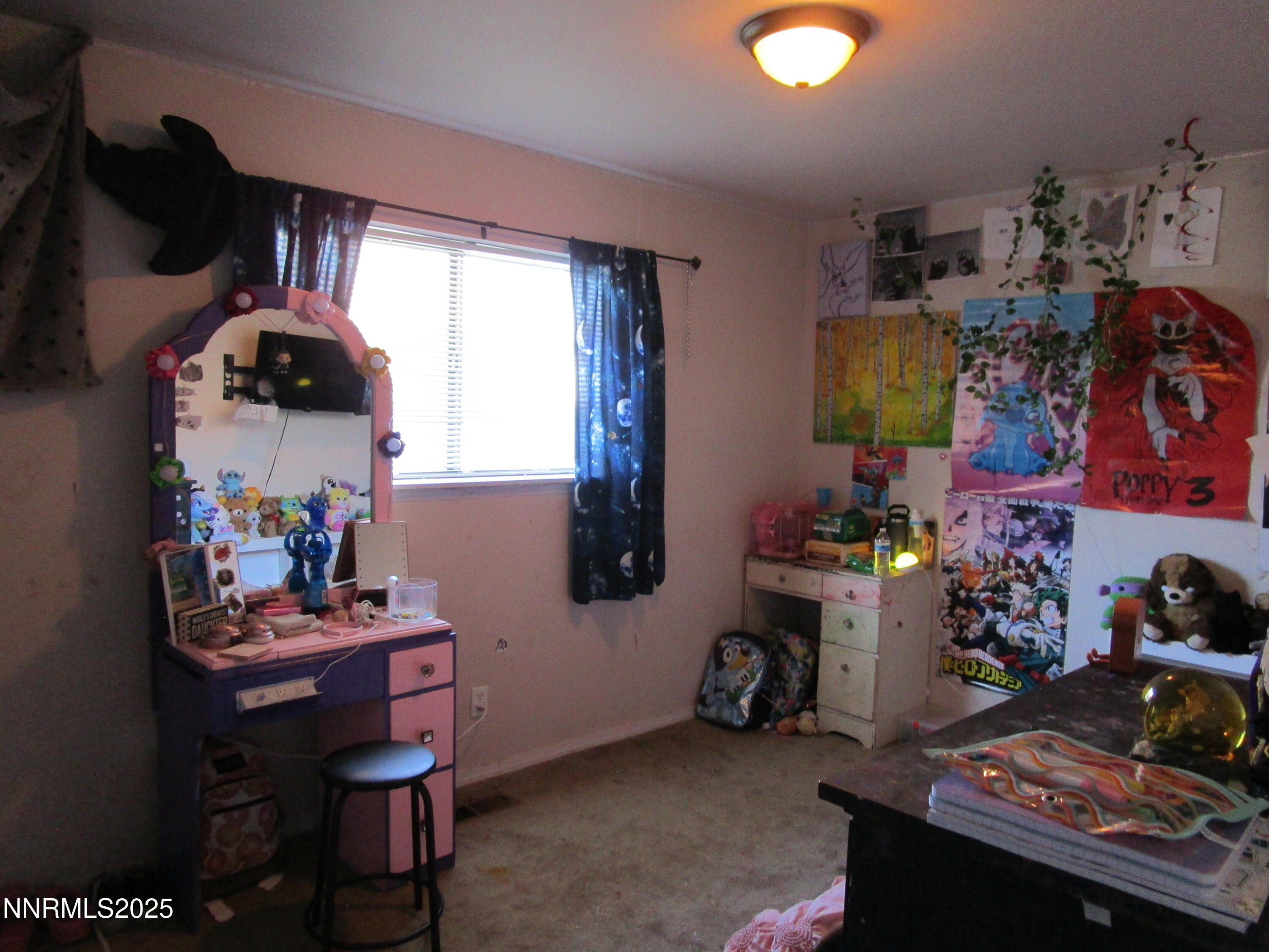 1091 Tiffany Drive Fallon, NV 89406 - Photo 31 of 31 a room with furniture and a window