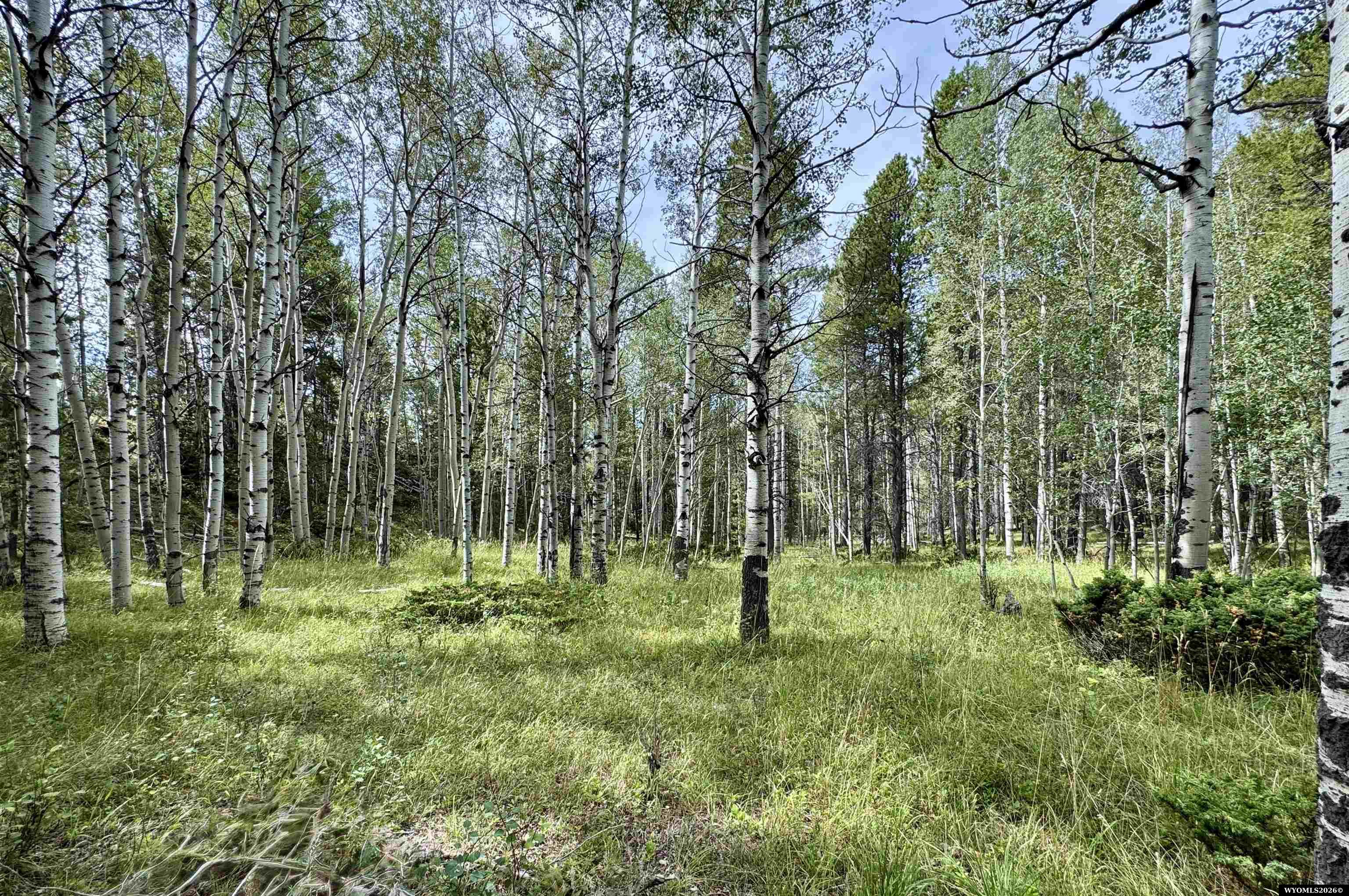 Lot 620 Starwallow Road, Unit 6 Casper, WY 82601 - Photo 1 of 13 Gallery Image 1