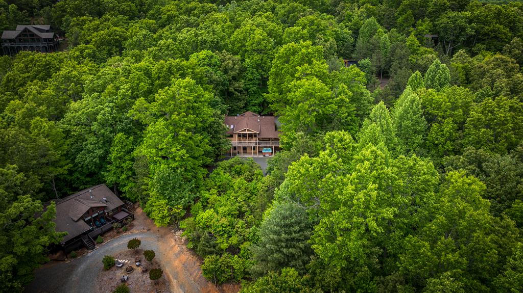 28 Hawkeye Ridge Blue Ridge, GA 30513 - Photo 47 of 104 Gallery Image 47