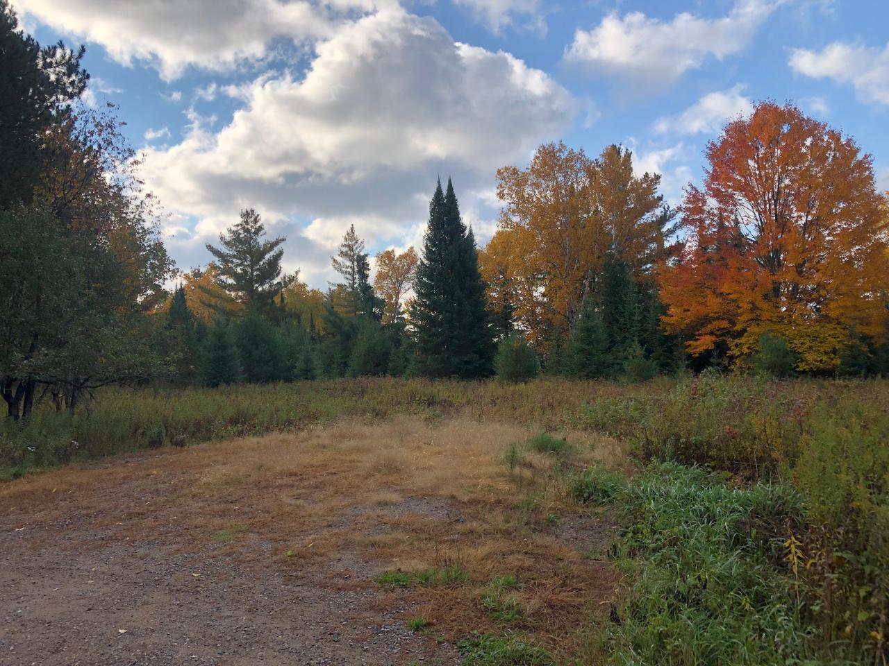 Acreage Yocum Road Crandon, WI 54520 - Photo 3 of 20 Gallery Image 3