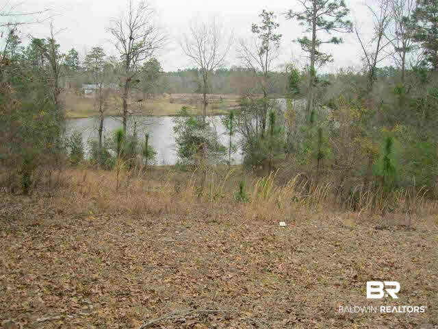 1 Wiggins Lake Road Walnut Hill, FL 32568 - Photo 1 of 1 Gallery Image 1