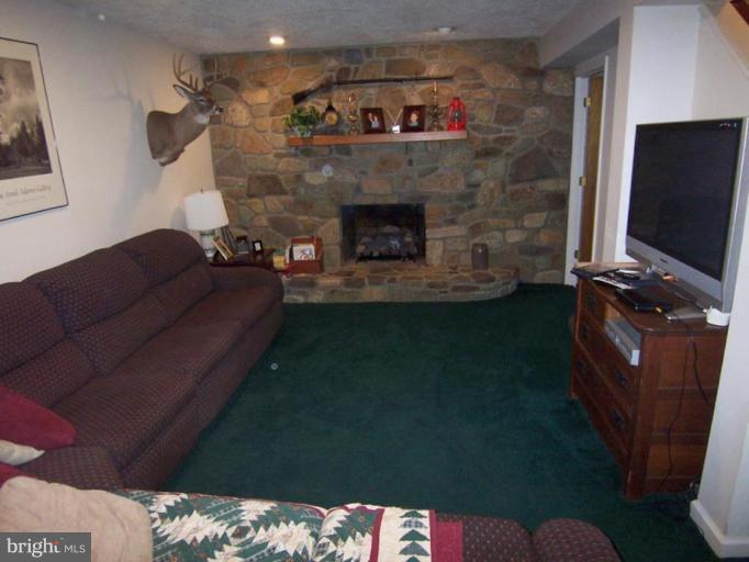 20490 River Road Rapidan, VA 22733 - Photo 7 of 15 Den
