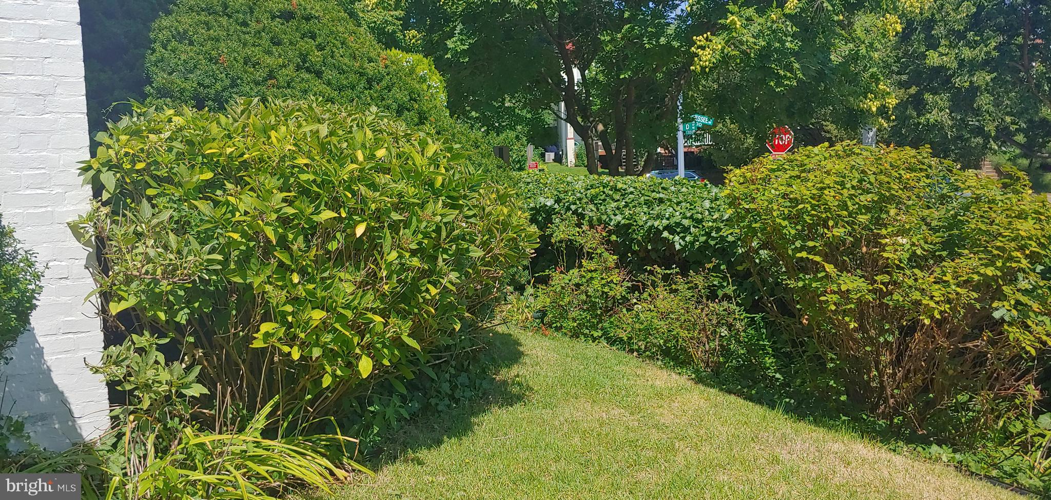 1391 D Street Northeast Washington, DC 20002 - Photo 35 of 39 Partially fenced front yard w/new iron gate door