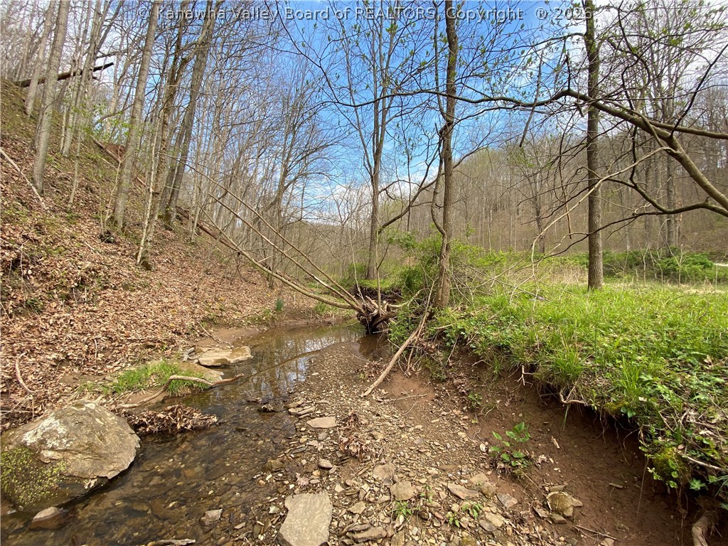 0 2nd Creek Road Kenna, WV 25248 - Photo 9 of 47 Gallery Image 9