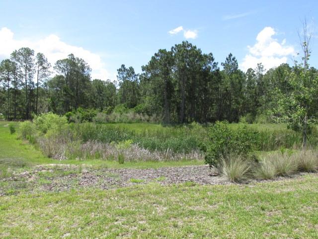 1275 Butterfly Orchid Road Davenport, FL 33837 - Photo 41 of 43