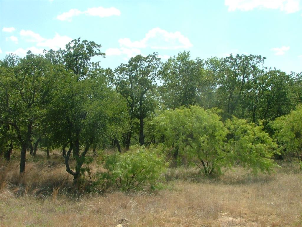 Lot 263 Ridgeline Drive Chico, TX 76431 - Photo 2 of 13