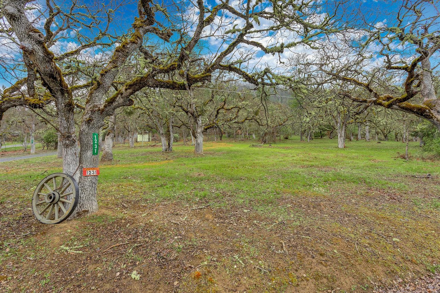 1231 Upper Applegate Road Jacksonville, OR 97530 - Photo 30 of 35 Additional Photo