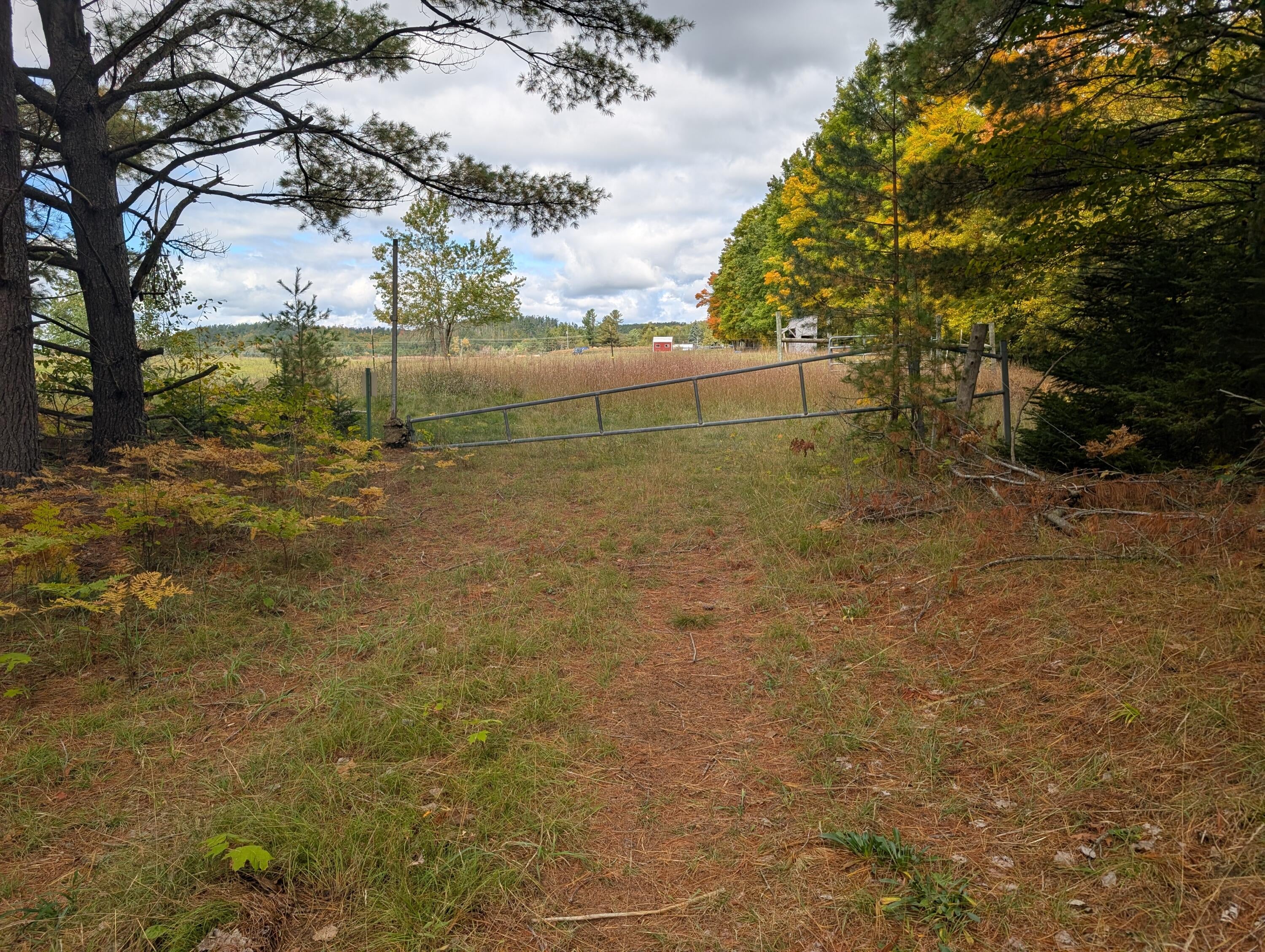 11143 Beltz Road Atlanta, MI 49709 - Photo 73 of 86 gate at east end of property