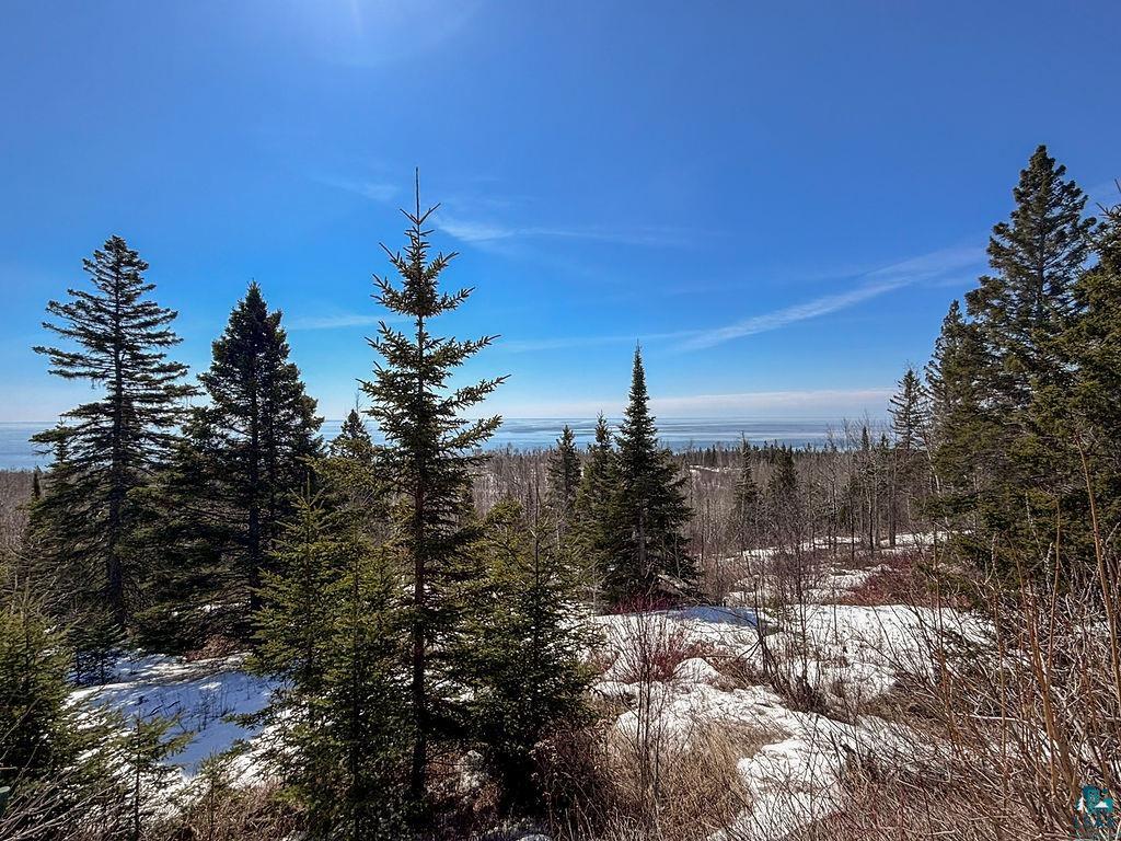 88 Overlook Trail Tofte, MN 55615 - Photo 7 of 85