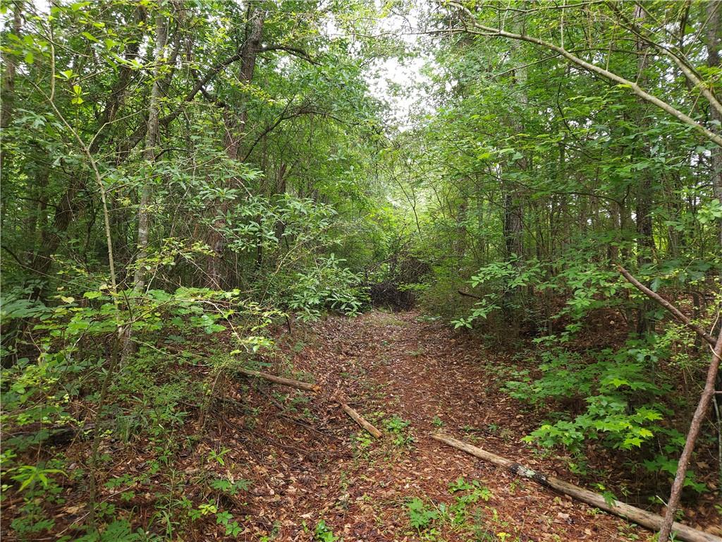 0 Potash Road Cedartown, GA 30125 - Photo 6 of 15