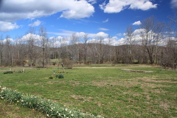 3100 Arnold Road Centerville, TN 37033 - Photo 1 of 20 Gallery Image 1