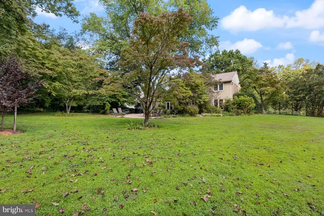 a view of a garden with plants