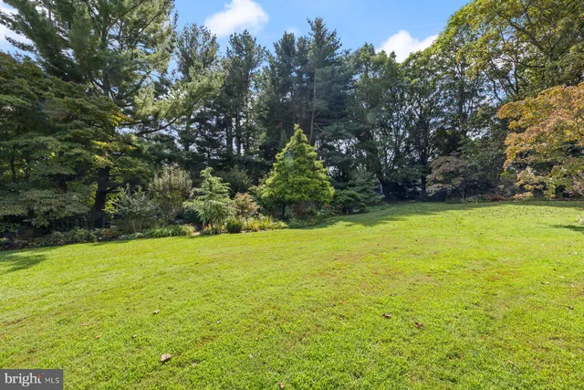 a view of a park with large trees