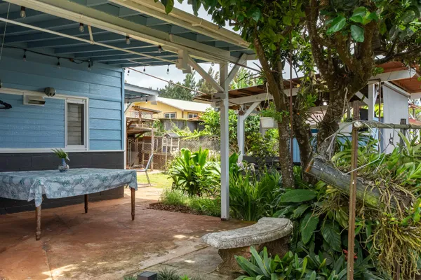 a view of a backyard with plants