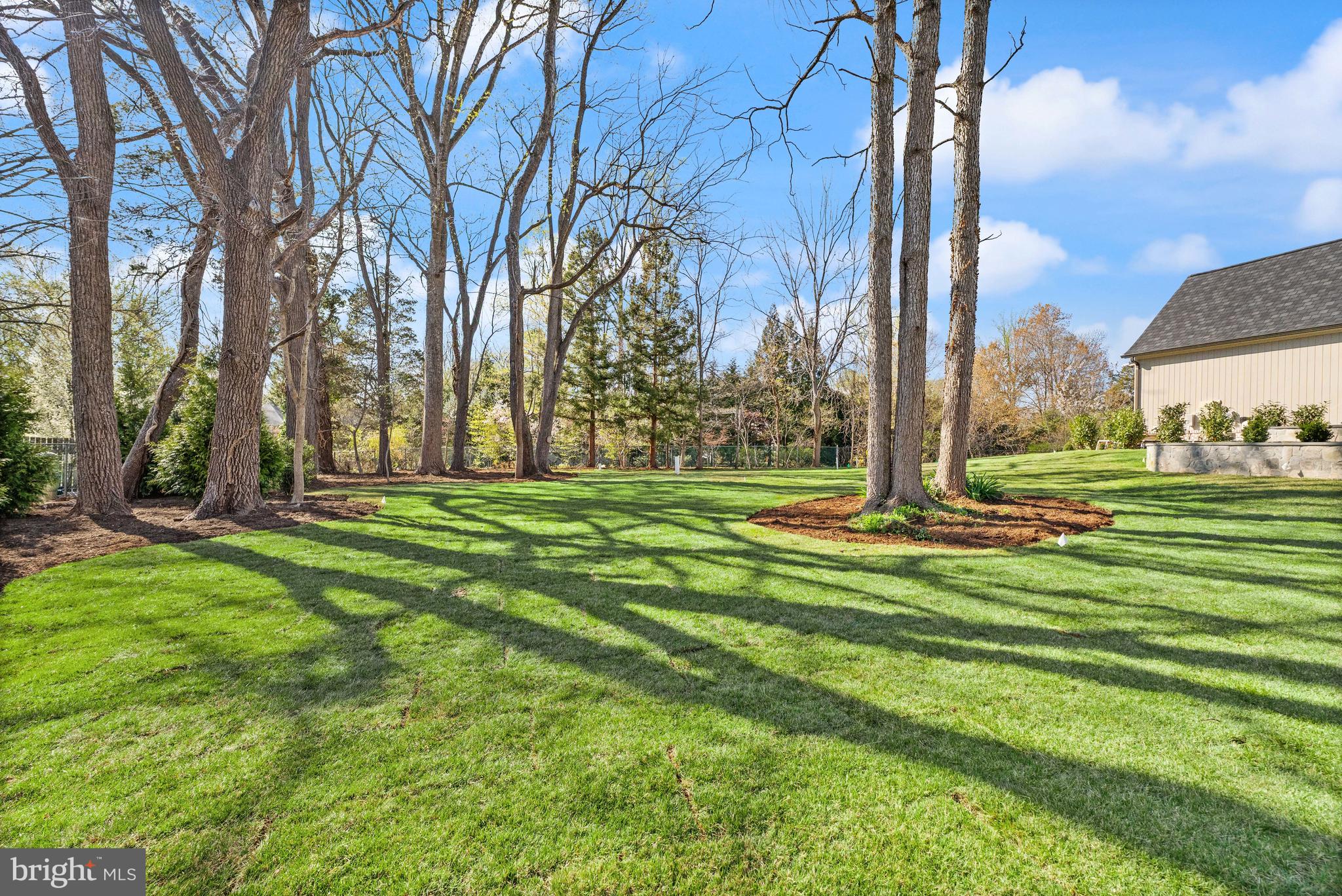 6913 Benjamin Street McLean, VA 22101 - Photo 50 of 51 a view of a park with large trees